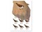 Sparrow Bird Solid Temporary Tattoo Water Resistant Fake Body Art Set Collection (1 Sheet)